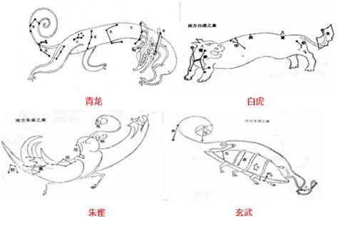 南京风水 珊名字意思